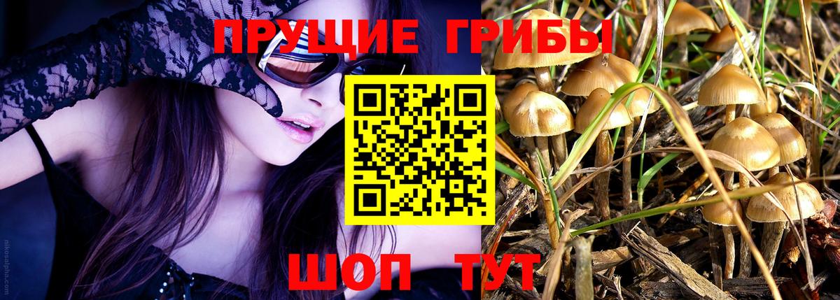 Псилоцибиновые грибы мухоморы Дзержинск